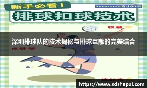 wm365完美体育