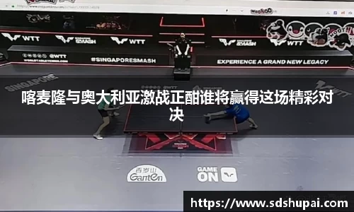 wm365完美体育