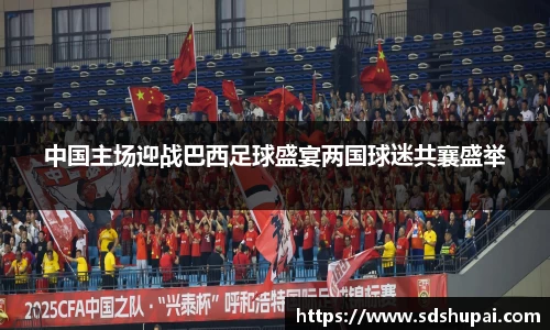 中国主场迎战巴西足球盛宴两国球迷共襄盛举