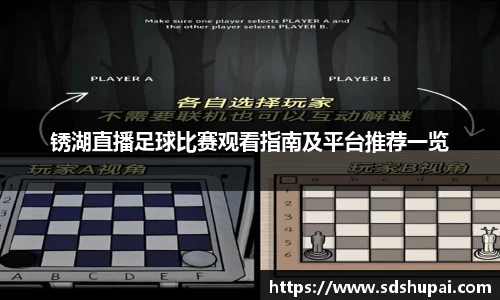 锈湖直播足球比赛观看指南及平台推荐一览