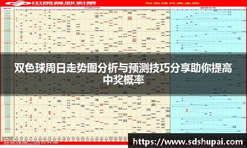 星空综合体育官网